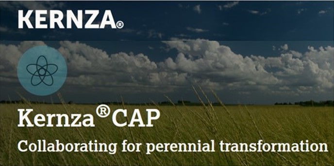 Kernza CAP website